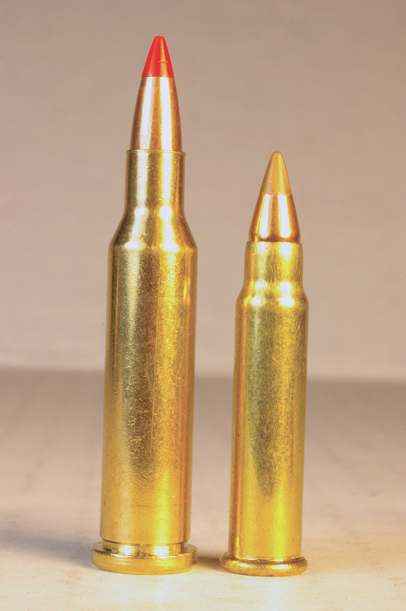 The 17 Hornet (left) looks like a larger version of the 17 Hornady Magnum Rimfire (right). The 17 Hornet will become a very popular cartridge if it garners even a small percentage of the 17 rimfire’s popularity.